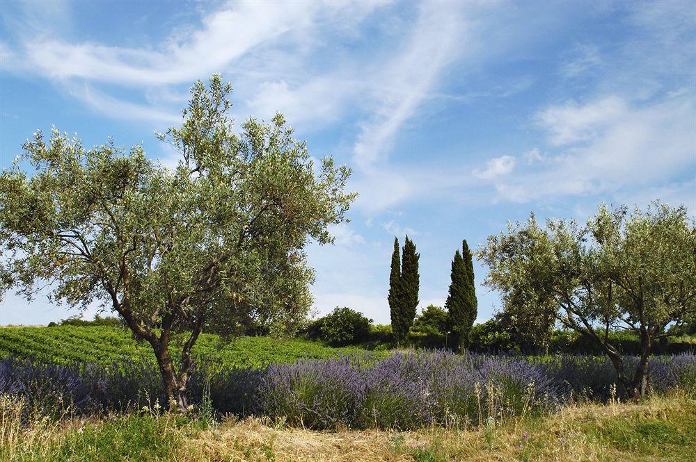 Hotel Les Jardins De Sainte-Maxime Dış mekan fotoğraf
