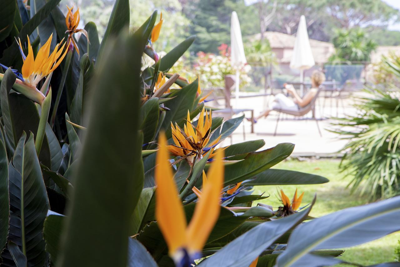 Hotel Les Jardins De Sainte-Maxime Dış mekan fotoğraf